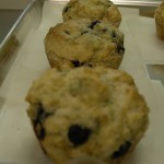 Blueberry Muffin