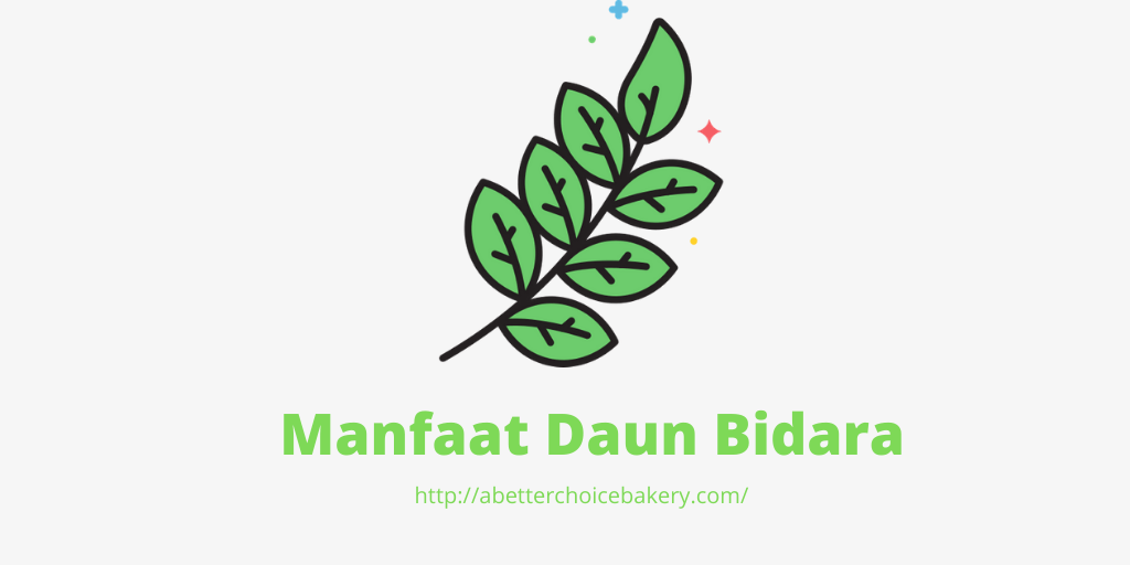 apa-benar-daun-bidara-anti-sihir-?-berikut-manfaatnya